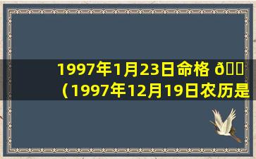 1997年1月23日命格 🐠 （1997年12月19日农历是多少）